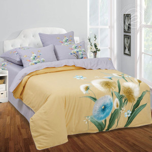 Постельное белье велюр "Лусия" 4нав в подарочной коробке (последний размер) Евро Постельное белье велюр "Лусия" 4нав в подарочной коробке (последний размер) Евро