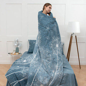 Постельное белье бязь Simple Life "Wind" (Винд) (последний размер) 2-сп.евр