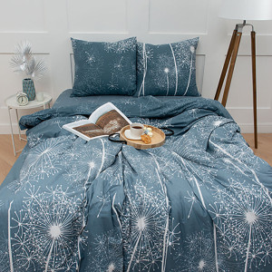 Постельное белье бязь Simple Life "Wind" (Винд) (последний размер) 2-сп.евр