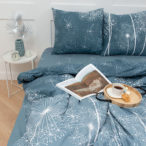 Постельное белье бязь Simple Life "Wind" (Винд) (последний размер) 2-сп.евр