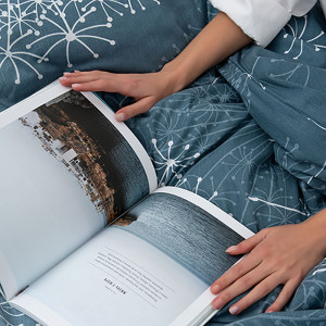 Постельное белье бязь Simple Life "Wind" (Винд) (последний размер) 2-сп.евр