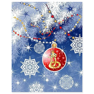 Полотенце кухонное "NewYear" рогожка "Волшебница" (последний размер) 45х60