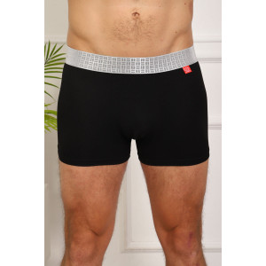 Трусы мужские №64898 бамбук (р-ры: 50-56) - упаковка 2 шт.