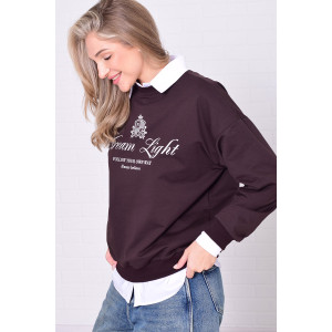 Джемпер женский 6221 футер 2-х нитка (р-ры: 42-56) коричневый