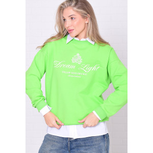 Джемпер женский 6221г футер 2-х нитка (р-ры: 42-56) авокадо