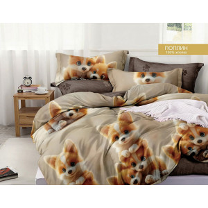 Постельное белье зима-лето поплин стеганый с окантовкой ЗЛПО27-1437