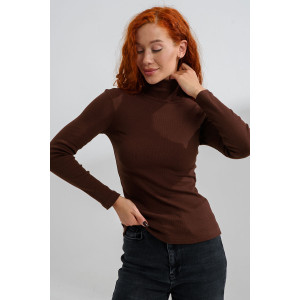 Водолазка женская №14439/6 кашкорсе (последний размер) шоколад 44,52 Водолазка женская №14439/6 кашкорсе (последний размер) шоколад 44,52