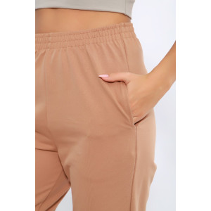 Брюки женские №21009 футер с лайкрой 2-х нитка (последний размер) светло-коричневый 50 Брюки женские №21009 футер с лайкрой 2-х нитка (последний размер) светло-коричневый 50