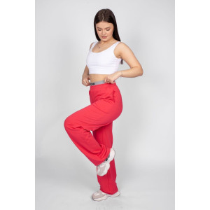 Брюки женские №11998 футер 2-х нитка (последний размер) бубль-гум 44 Брюки женские №11998 футер 2-х нитка (последний размер) бубль-гум 44