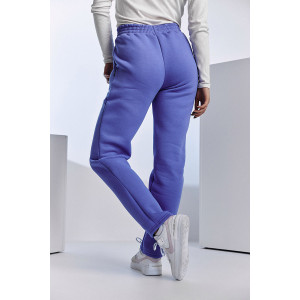 Брюки женские №67091 футер 3-х нитка с начесом (последний размер) фиолетовый 52