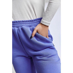 Брюки женские №67091 футер 3-х нитка с начесом (последний размер) фиолетовый 52