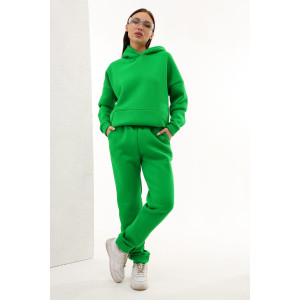 Брюки женские №88512 футер 3-х нитка с начесом (последний размер) зеленый 42-44