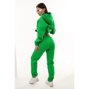 Брюки женские №88512 футер 3-х нитка с начесом (последний размер) зеленый 42-44