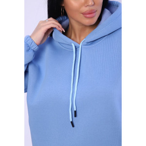 Костюм двойка женский №80027 футер 3-х нитка с начесом (последний размер) голубой 48,56