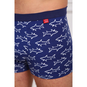 Трусы мужские №64878 бамбук (последний размер) - упаковка 2 шт. 54 Трусы мужские №64878 бамбук (последний размер) - упаковка 2 шт. 54