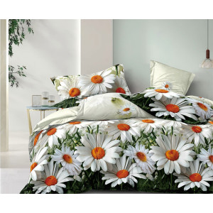 Постельное белье поплин стандарт ПВ30-1480 Постельное белье поплин стандарт ПВ30-1480