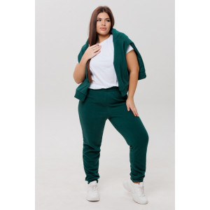 Брюки женские БР40 флис (р-ры: 48-62) зеленый Брюки женские БР40 флис (р-ры: 48-62) зеленый