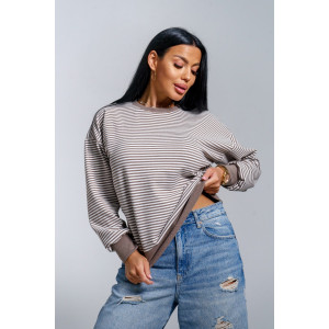 Свитшот женский "Мелиса" поларфлис (р-ры: 44-54) шоколад Свитшот женский "Мелиса" поларфлис (р-ры: 44-54) шоколад