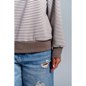 Свитшот женский "Мелиса" поларфлис (р-ры: 44-54) шоколад Свитшот женский "Мелиса" поларфлис (р-ры: 44-54) шоколад