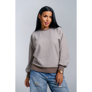 Свитшот женский "Мелиса" поларфлис (р-ры: 44-54) шоколад Свитшот женский "Мелиса" поларфлис (р-ры: 44-54) шоколад