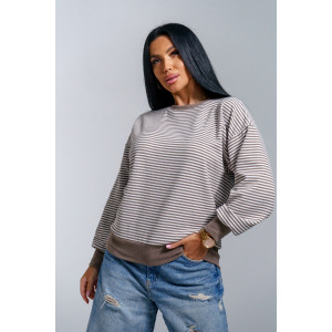 Свитшот женский "Мелиса" поларфлис (р-ры: 44-54) шоколад Свитшот женский "Мелиса" поларфлис (р-ры: 44-54) шоколад