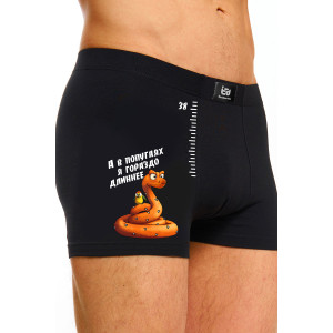 Трусы мужские "38 попугаев" кулирка с лайкрой пенье (последний размер) черный 54 Трусы мужские "38 попугаев" кулирка с лайкрой пенье (последний размер) черный 54