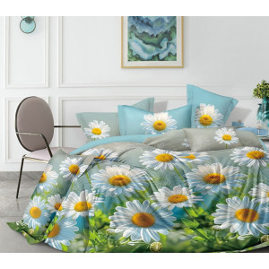 Постельное белье бязь Б3Д-493