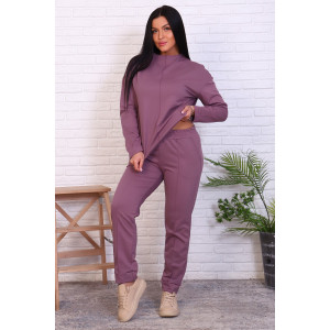 Костюм двойка женский №17571 футер с лайкрой 2-х нитка (р-ры: 46-54) черничный