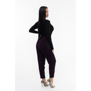 Брюки женские 1440/16 вельвет (р-ры: 44-56) баклажановый-2