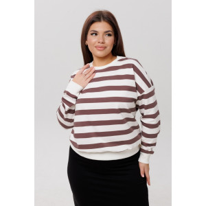 Толстовка женская ТЖ38 футер 2-х нитка петля пенье (р-ры: 46-60) мокко