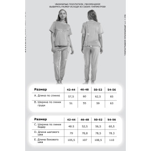 Костюм двойка женский М-272К "Кэт" велюр (р-ры: 42-56) графит
