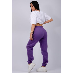 Джоггеры женские "Мистерия 16" футер 3-х нитка с начесом (р-ры: 44-54) фиолетовый