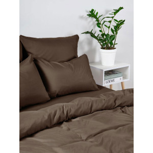 Постельное белье "Веселина" полиэстер "Сосновая шишка"