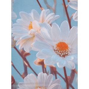 Наволочка на молнии бязь "Ромашки" (2 шт.)