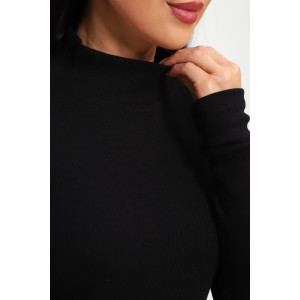 Водолазка женская №32104 рибана (р-ры: 44-58) черный