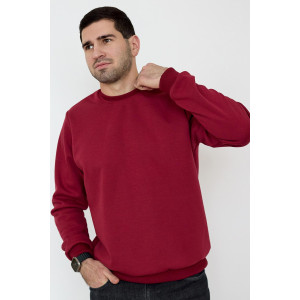 Толстовка мужская "Бронд М" интерсофт (последний размер) бордовый 46 Толстовка мужская "Бронд М" интерсофт (последний размер) бордовый 46