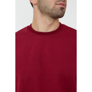 Толстовка мужская "Бронд М" интерсофт (последний размер) бордовый 46 Толстовка мужская "Бронд М" интерсофт (последний размер) бордовый 46