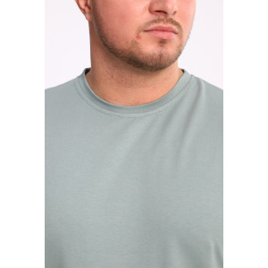 Костюм двойка мужской №35282 интерлок-футер (р-ры: 48-54) полынь