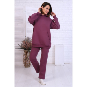 Толстовка женская "Перфект" футер 3-х нитка с начесом (последний размер) слива 42,46,48 Толстовка женская "Перфект" футер 3-х нитка с начесом (последний размер) слива 42,46,48