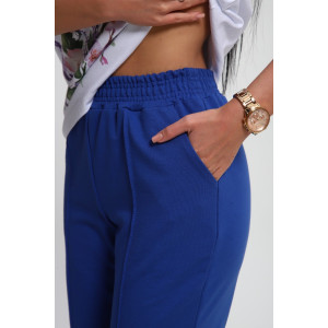 Костюм двойка женский №74725 футер-кулирка (р-ры: 46-64) васильковый Костюм двойка женский №74725 футер-кулирка (р-ры: 46-64) васильковый