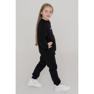 Брюки детские "Хэйл" 40301 футер 3-х нитка с начёсом (последний размер) черный 134,152