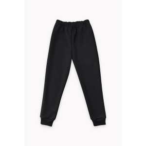 Брюки детские "Хэйл" 40301 футер 3-х нитка с начёсом (последний размер) черный 134,152