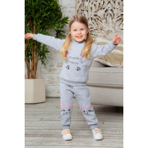 Толстовка детская "Cat" 10902 футер 3-х нитка начес (последний размер) серый 80