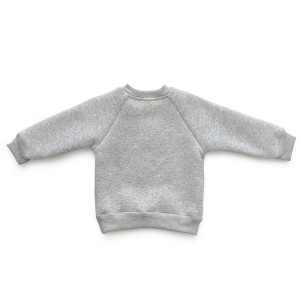 Толстовка детская "Cat" 10902 футер 3-х нитка начес (последний размер) серый 80