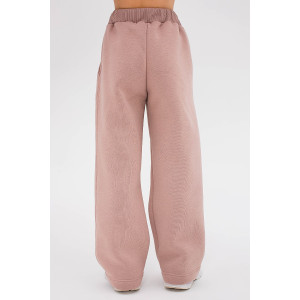 Костюм двойка детский "Виола" 40013 футер 3-х нитка с начесом (последний размер) пыльный беж 158