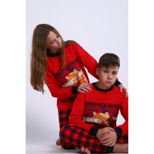 Пижама детская "Феликс" футер 2-х нитка с начесом (последний размер) красный 164 Пижама детская "Феликс" футер 2-х нитка с начесом (последний размер) красный 164