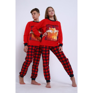 Пижама детская "Феликс" футер 2-х нитка с начесом (последний размер) красный 164 Пижама детская "Феликс" футер 2-х нитка с начесом (последний размер) красный 164