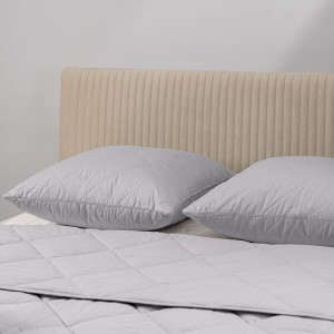 Подушка 2-х камерная верблюжья шерсть в тике "Толедо"