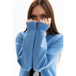 Толстовка женская №00028 футер 2-х нитка (р-ры: 40-58) сине-голубой Толстовка женская №00028 футер 2-х нитка (р-ры: 40-58) сине-голубой