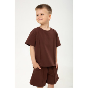 Костюм двойка детский "Стрела" петельчатый футер (р-ры: 104-146) коричневый